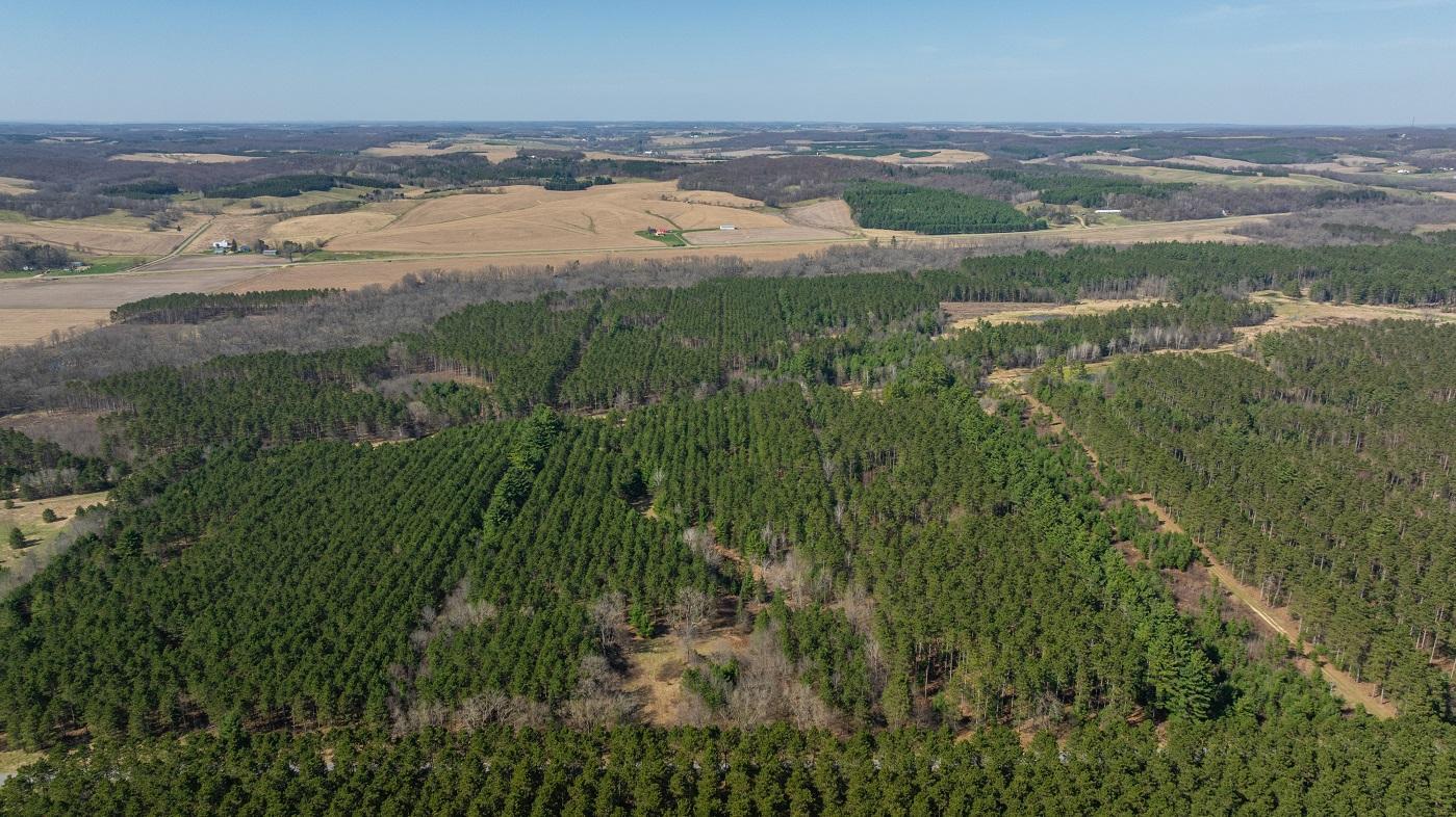 DJI_20260421155701_0770_D.jpg