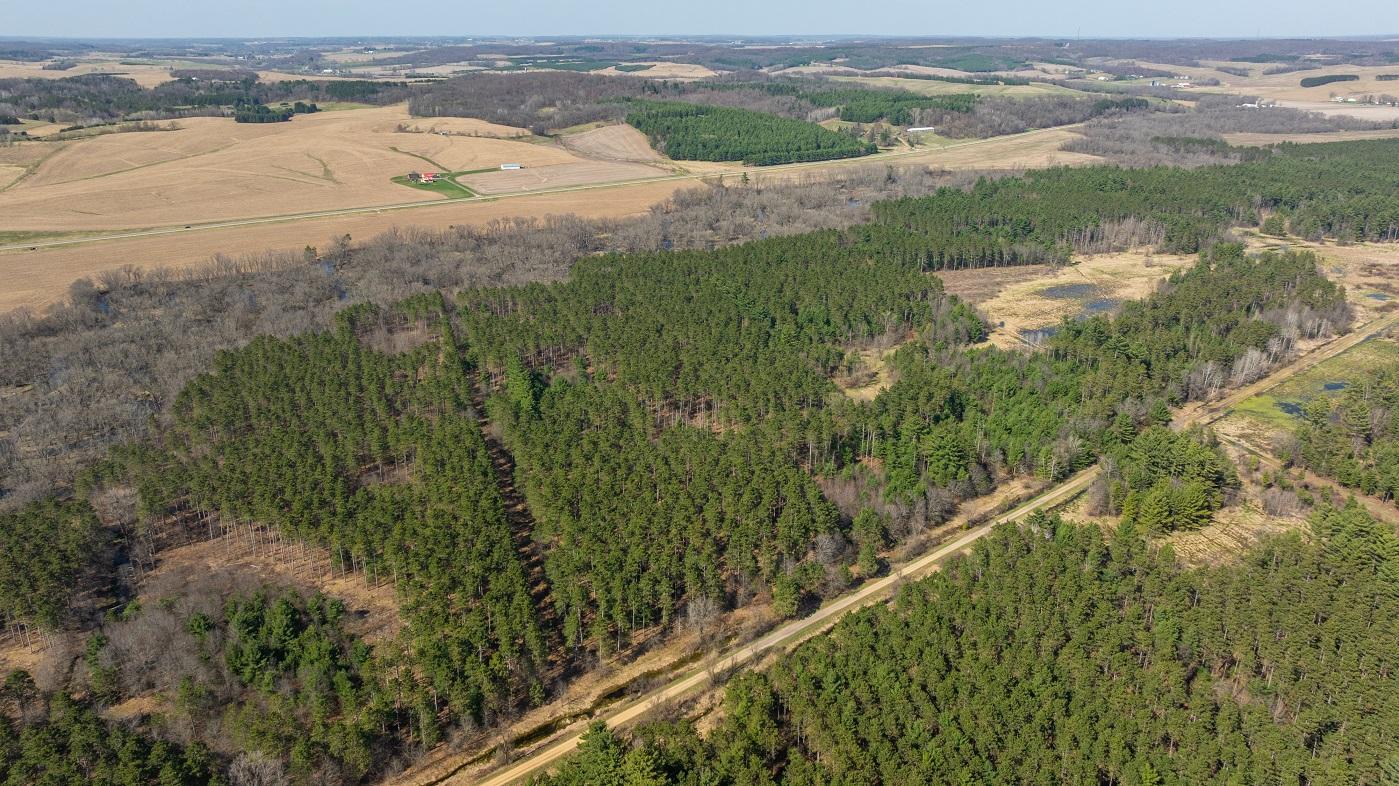 DJI_20260421155842_0775_D.jpg
