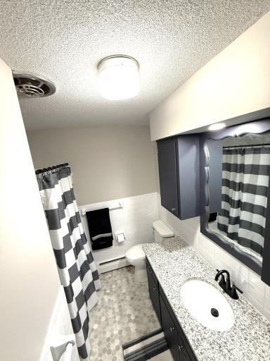 455 3rd Street SE, Cokato, MN 55321