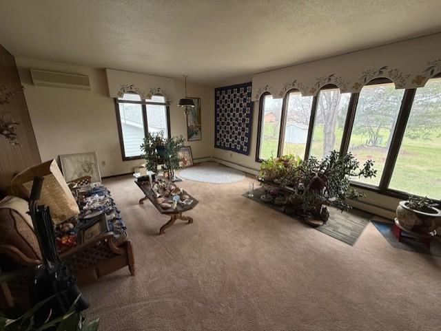 LR - Huge picture window