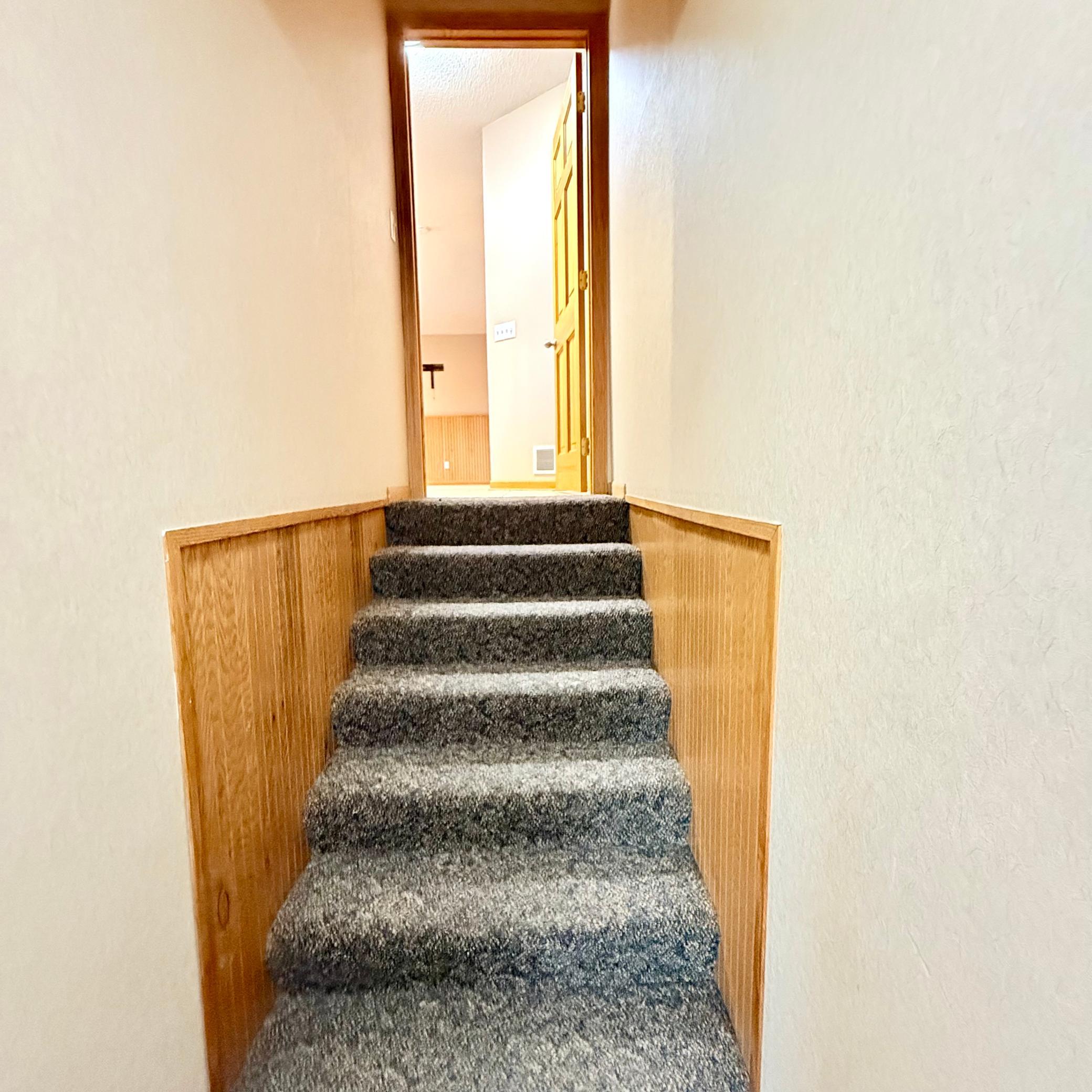 Stairs to Lower Level