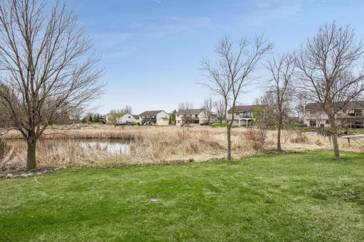 Scenic backyard views