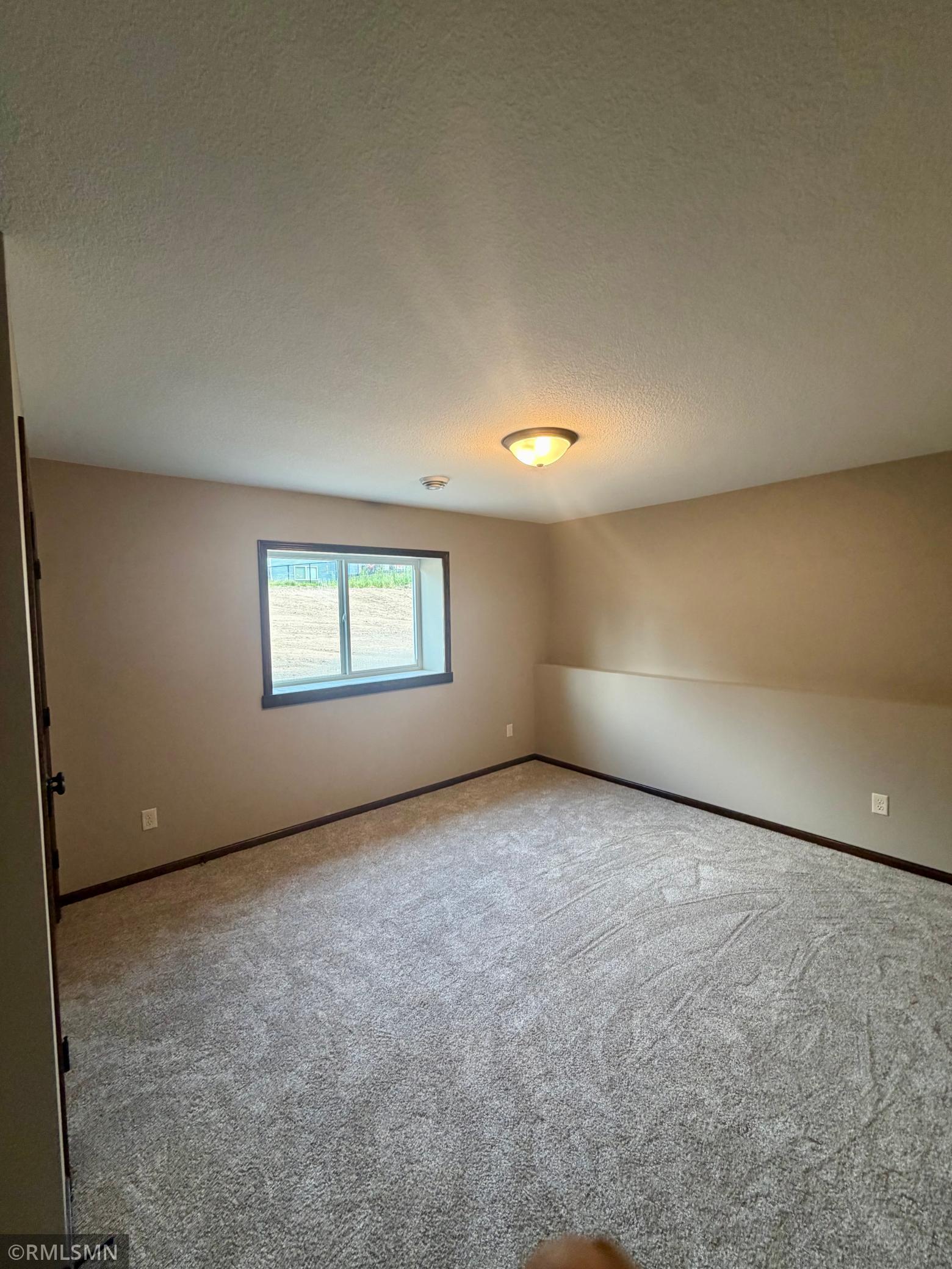 lower level bedroom.jpeg
