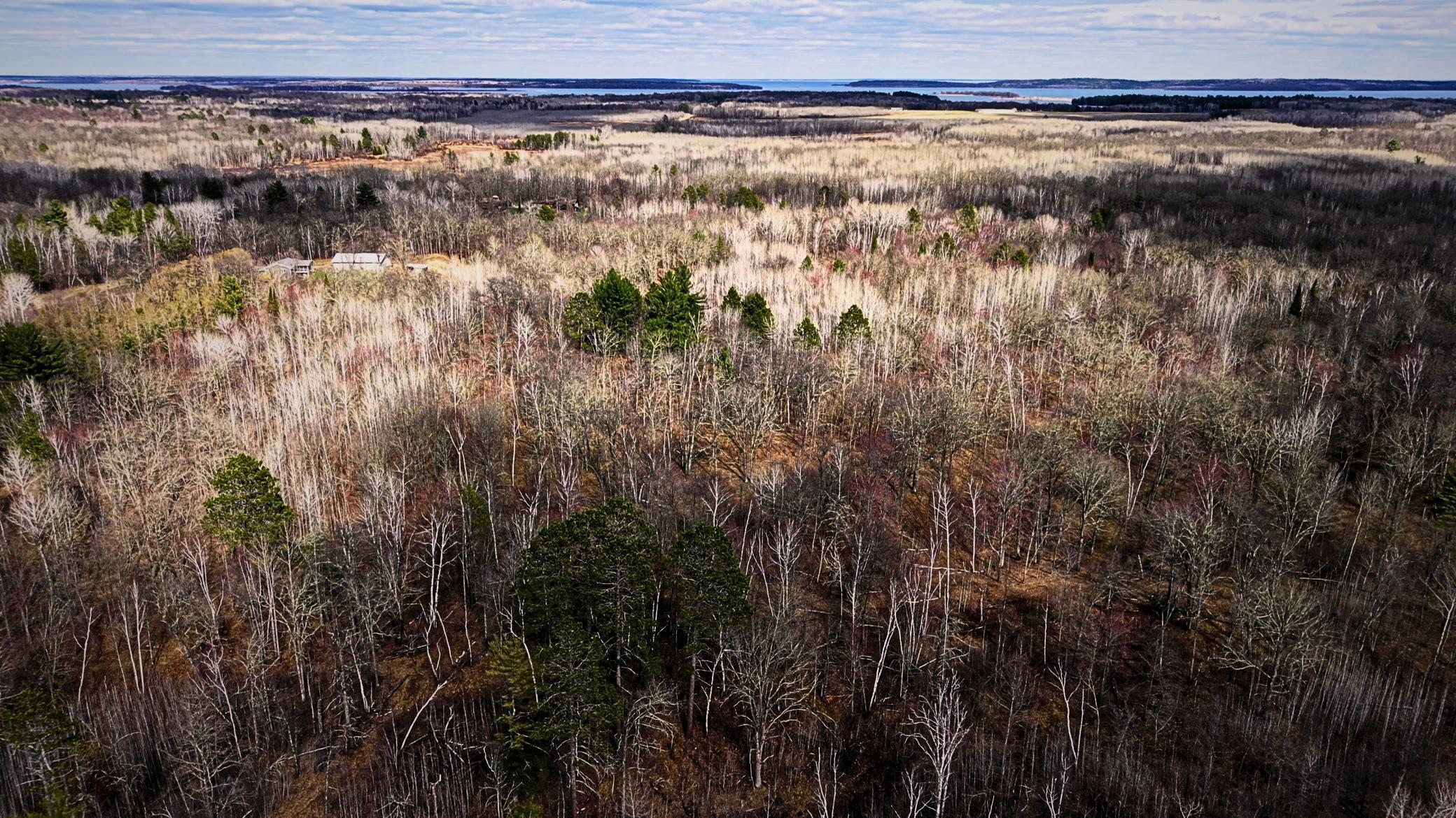 Overhead Photo.jpg