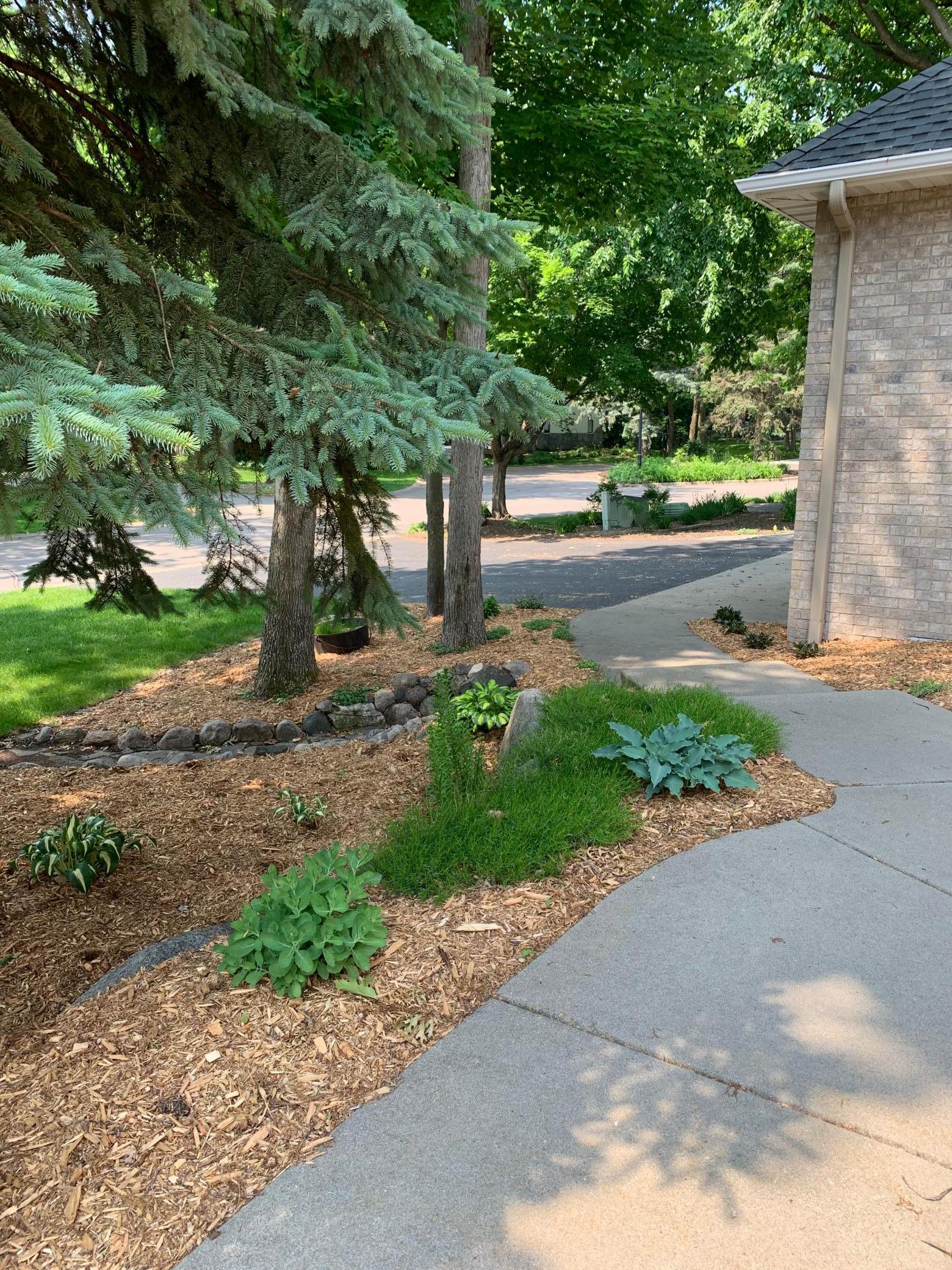 Inviting front sidewalk with numerous mature plants and mature trees for added privacy