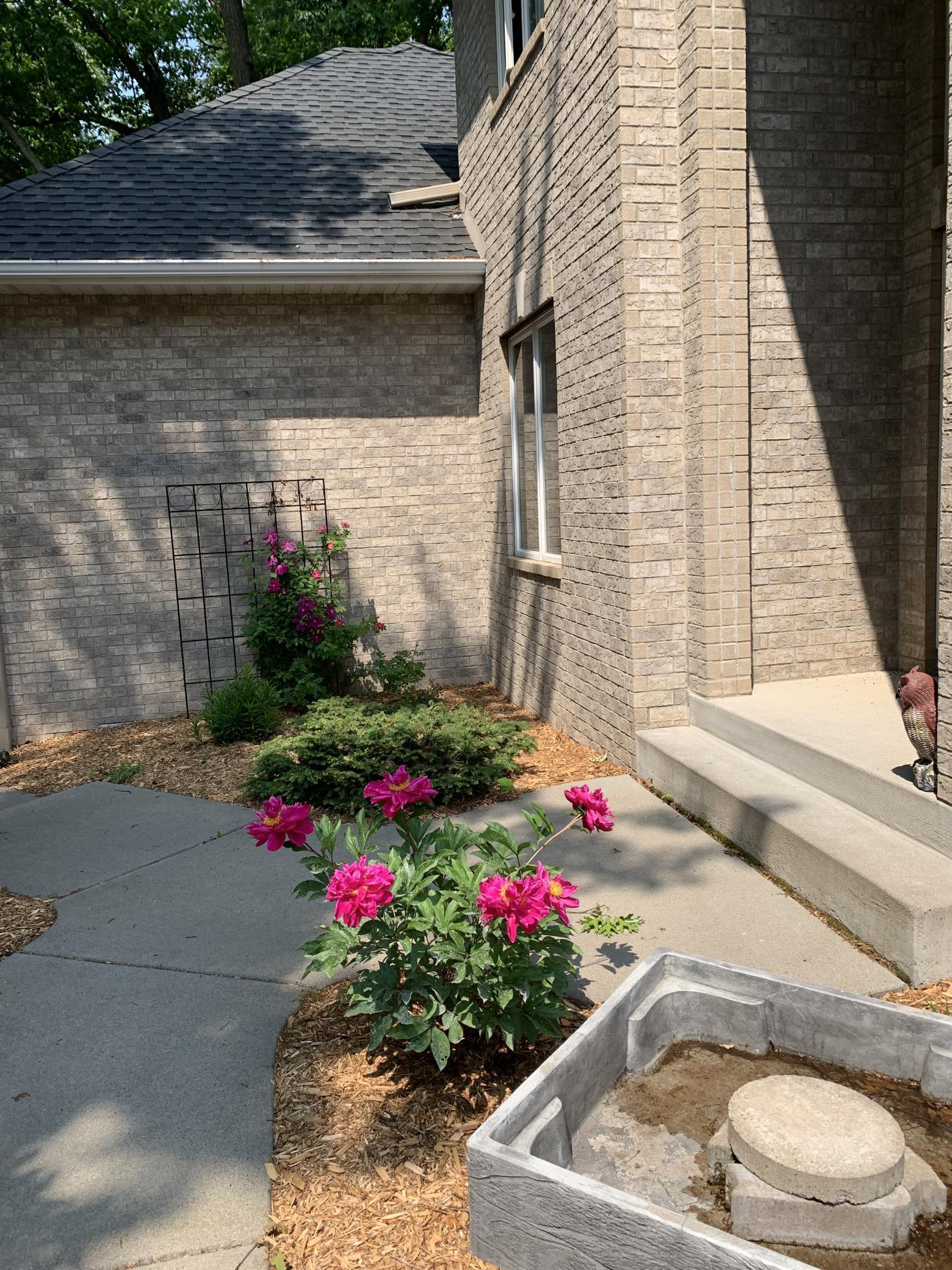 Inviting entry area in summer