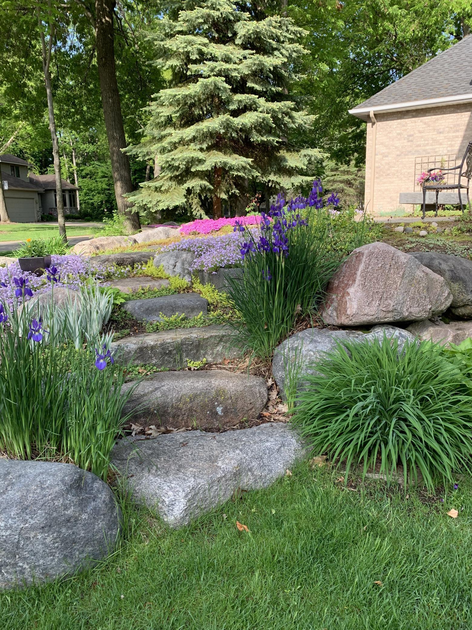Beautiful colorful perennial plantings and boulder steps landscaping