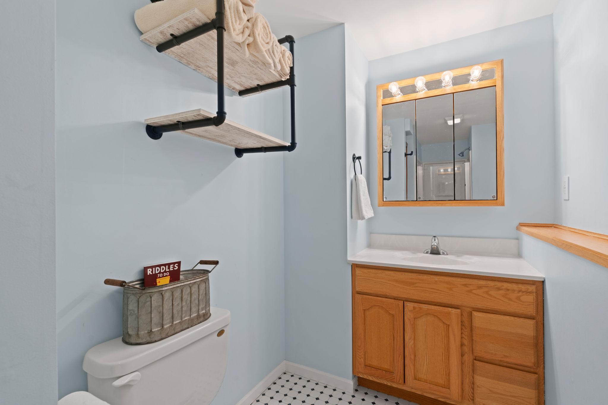 Lower Level Bathroom with updated vanity