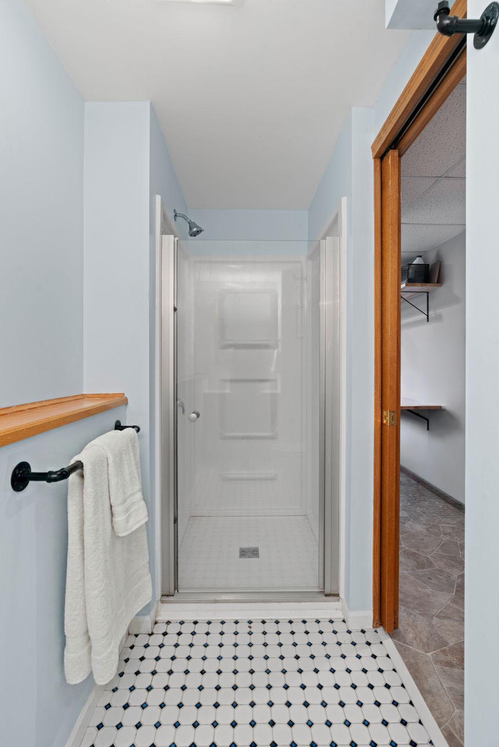 Lower Level Bathroom with walk in shower