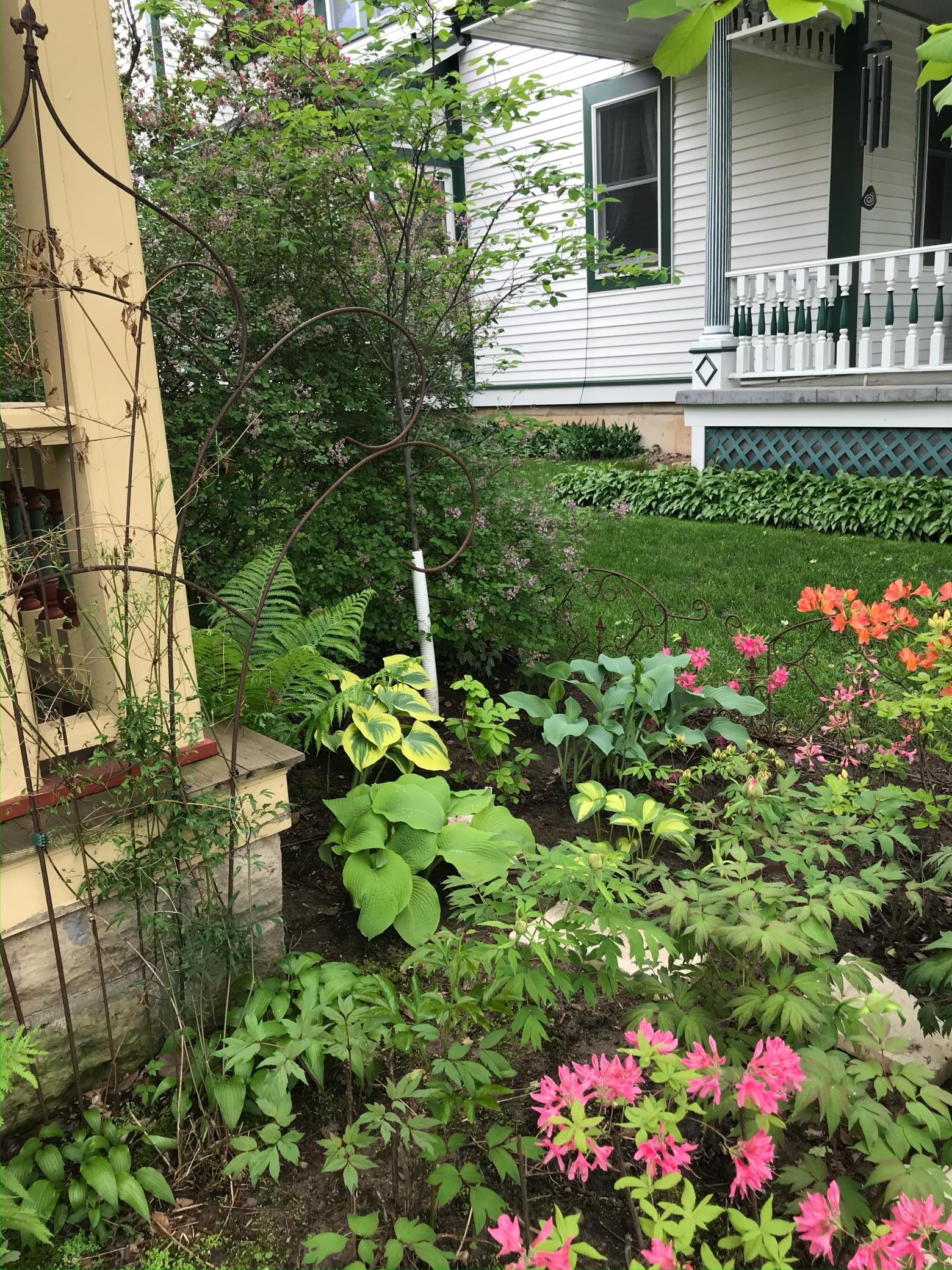 IMG_1249 (1) (1).JPEG