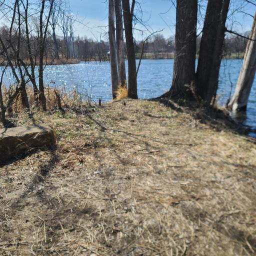 1104 Mackubin Street, Saint Paul, MN 55117