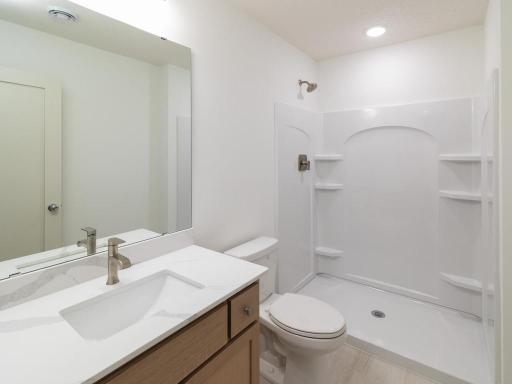 Lower Level Bathroom
