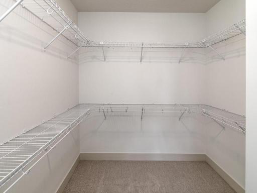 Primary Walk in closet with shelving