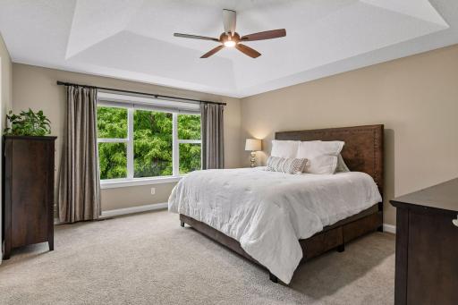 Primary bedroom with tray ceilings and large window with views out the back.