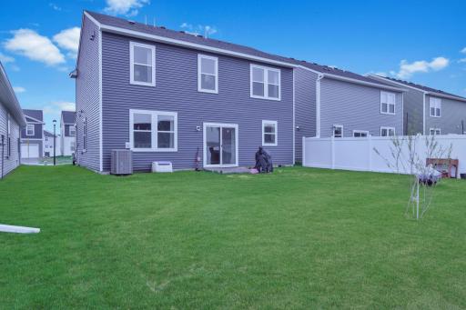 Backyard/Patio Area