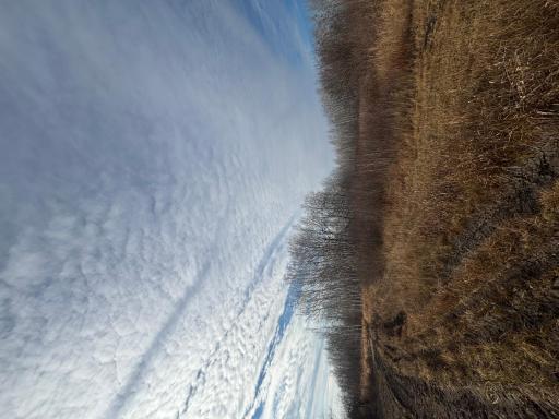000 County Hwy 61, Pine City, MN 55063