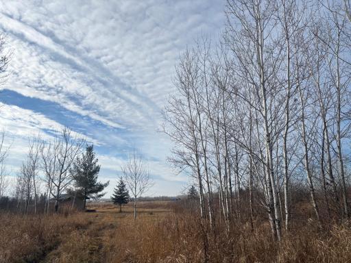 000 County Hwy 61, Pine City, MN 55063