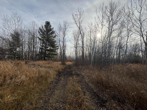 000 County Hwy 61, Pine City, MN 55063