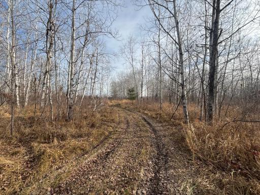 000 County Hwy 61, Pine City, MN 55063