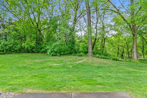13145 Gemstone Court, Saint Paul, MN 55124