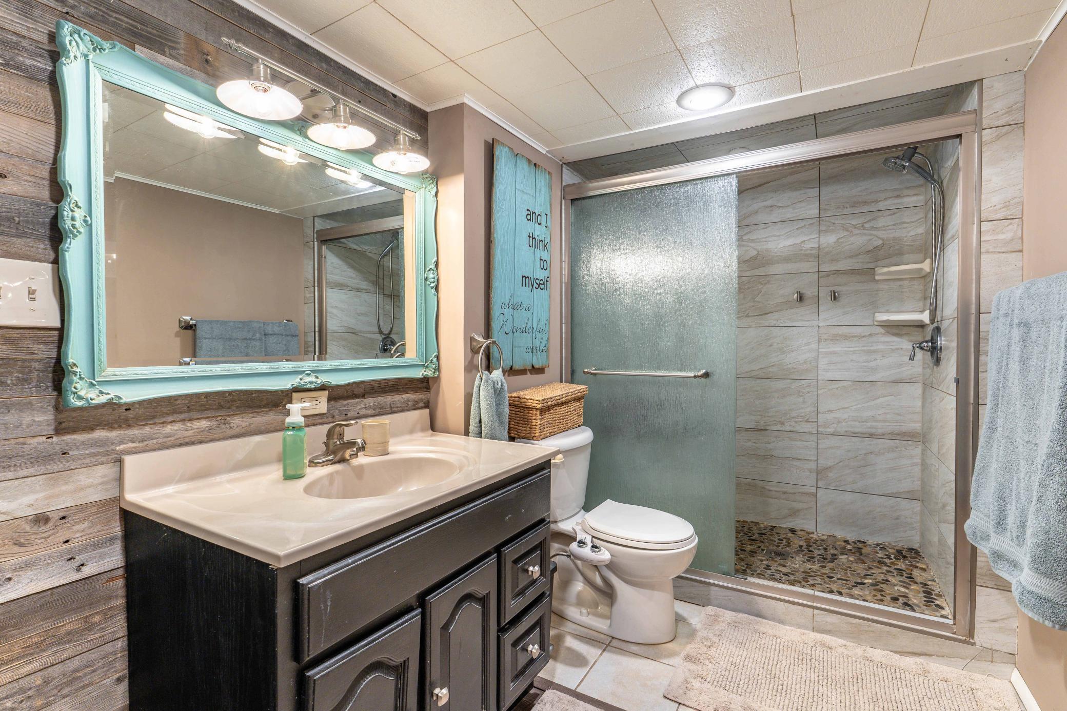 Lower Level Bathroom