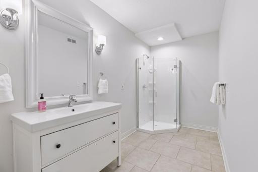 Lower level bathroom with step-in shower.