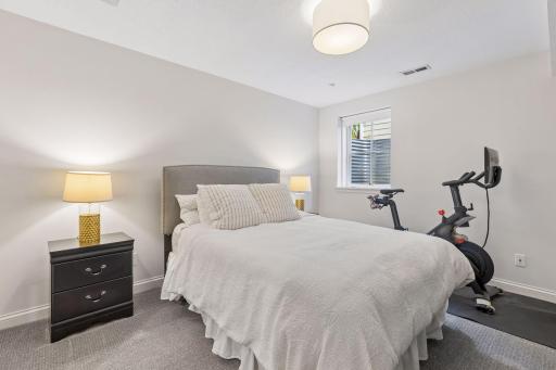Fifth bedroom on the lower level, with large egress window.