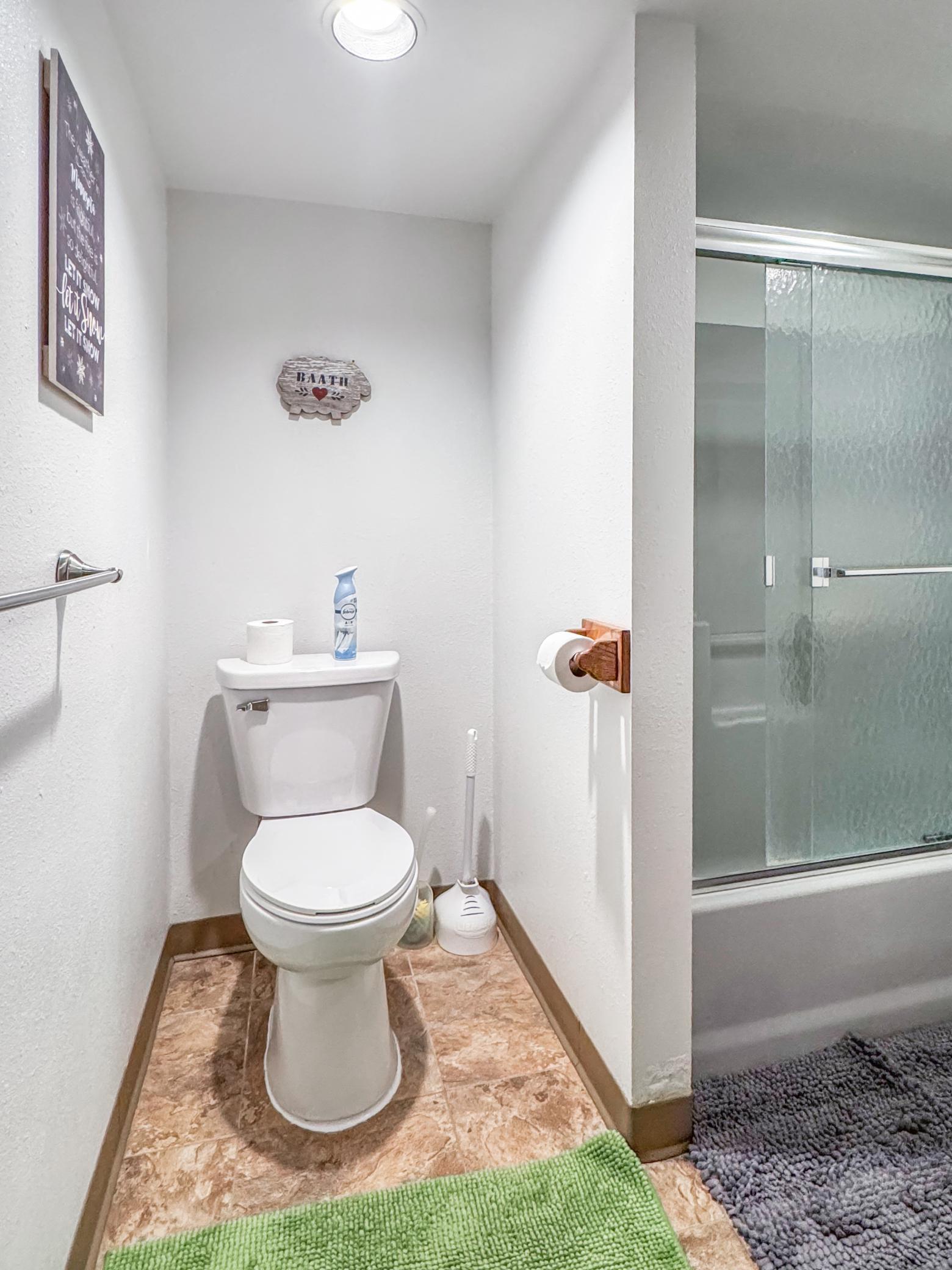 Basement Bathroom #2