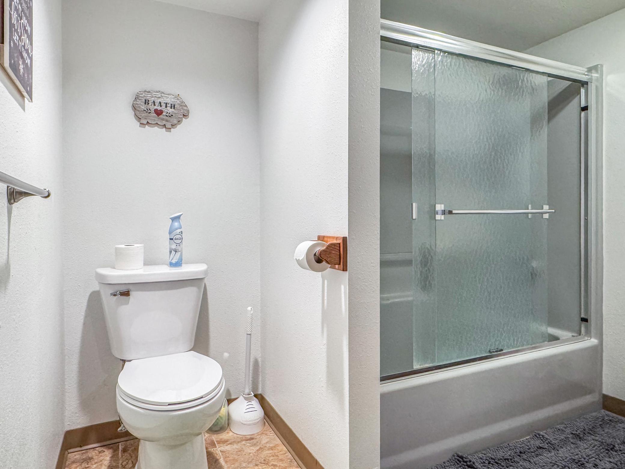 Basement Bathroom #2