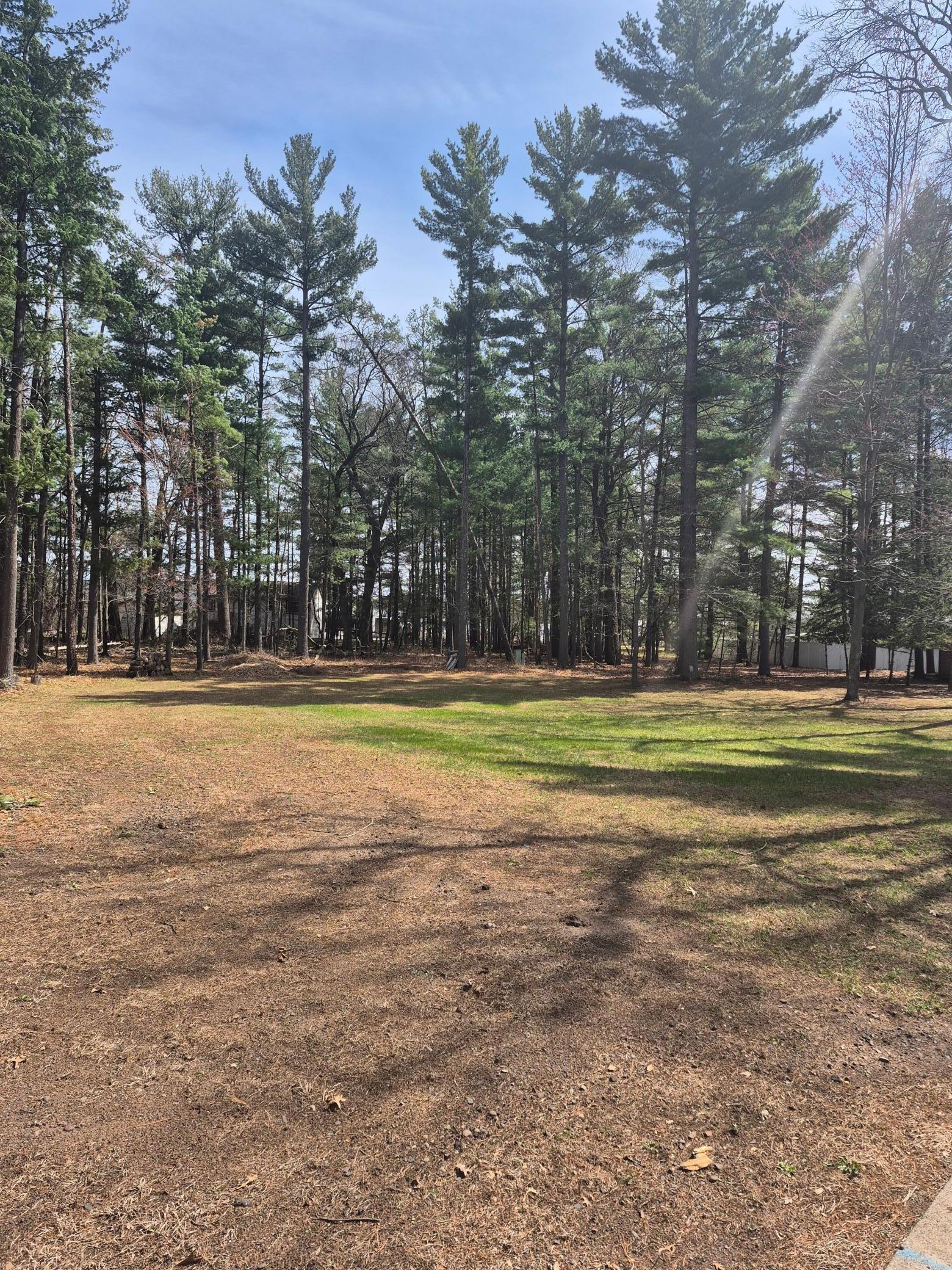 Quiet neighborhood with trees for privacy