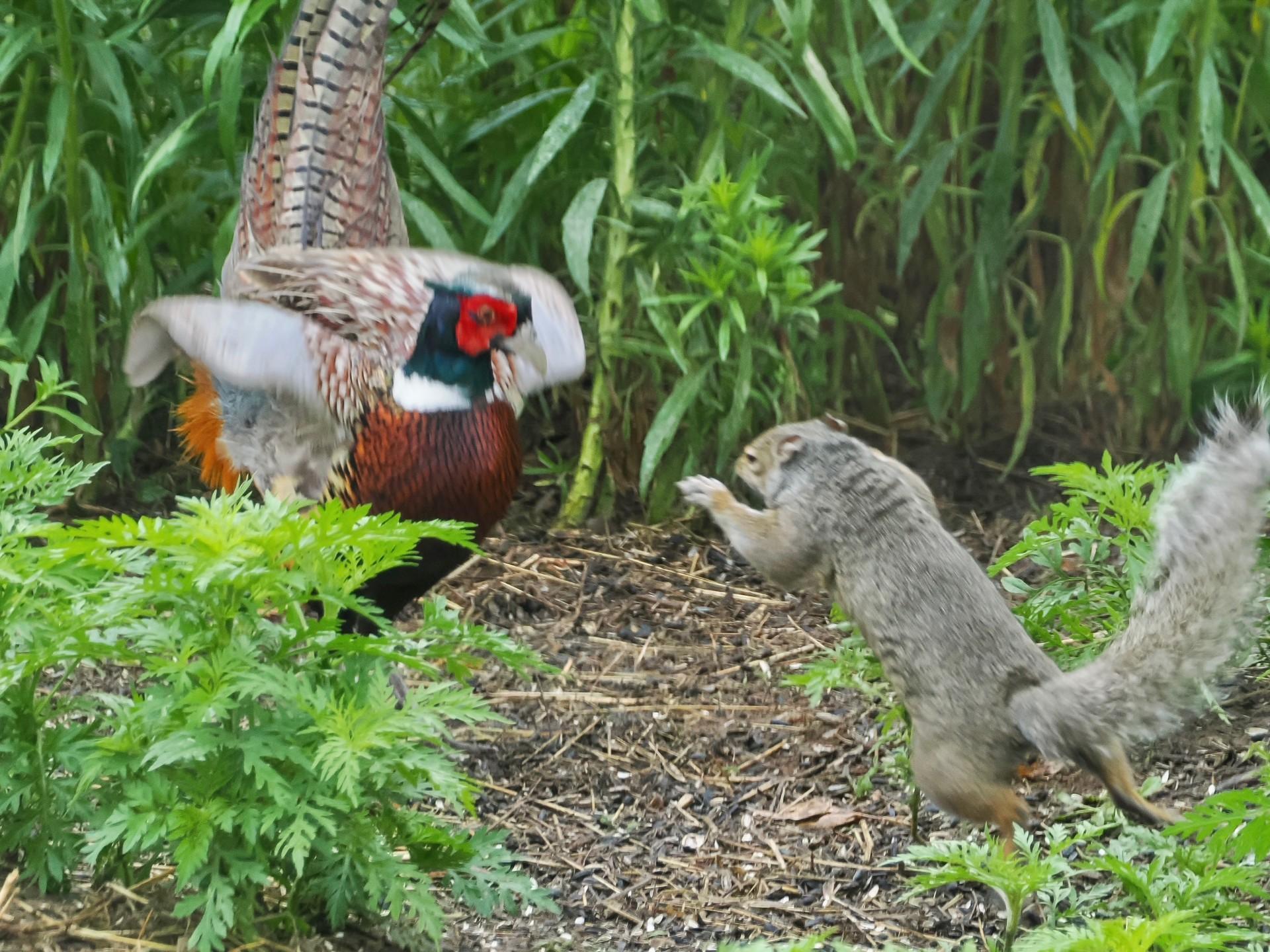 6d322885-4178-4508-a6d0-24f2497e8860 - Copy.jpg