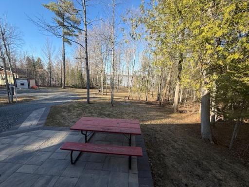 1085 S Gull Lake Road SW, Tenstrike, MN 56683