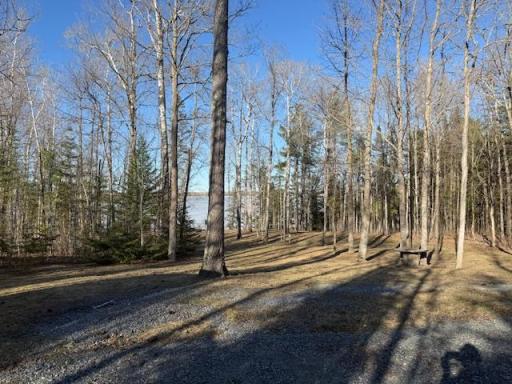 1085 S Gull Lake Road SW, Tenstrike, MN 56683