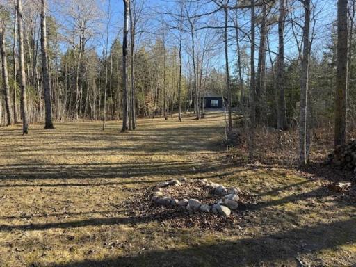 1085 S Gull Lake Road SW, Tenstrike, MN 56683