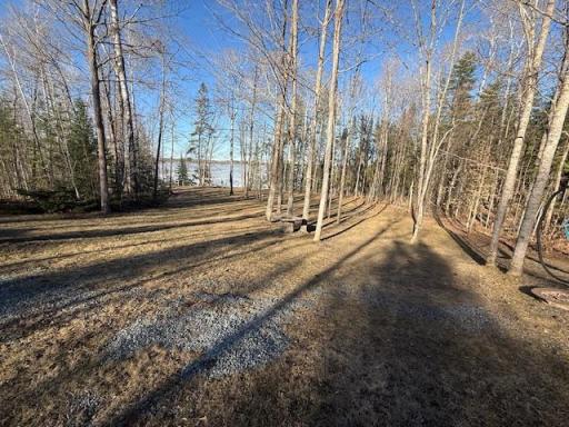 1085 S Gull Lake Road SW, Tenstrike, MN 56683