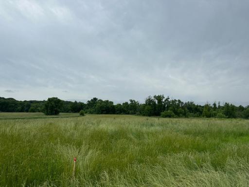2535 Pioneer Trail, Hamel, MN 55340