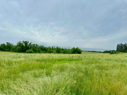 2535 Pioneer Trail, Hamel, MN 55340