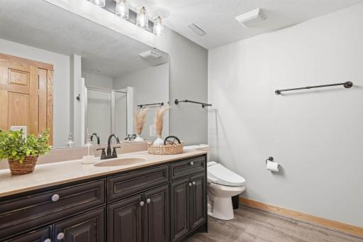 Lower level bathroom features a stand up shower.