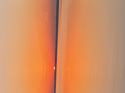 image9.jpeg
