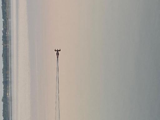 image11.jpeg