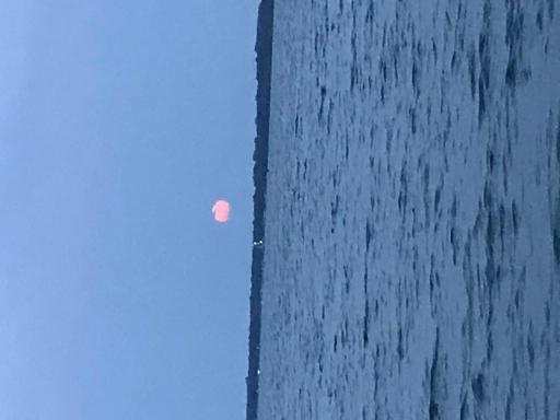 image14.jpeg