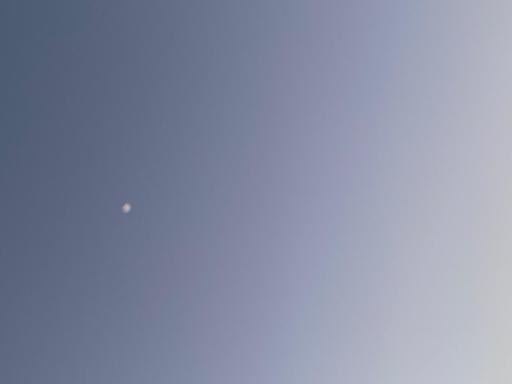 image10.jpeg