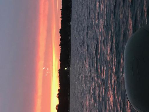 image13.jpeg