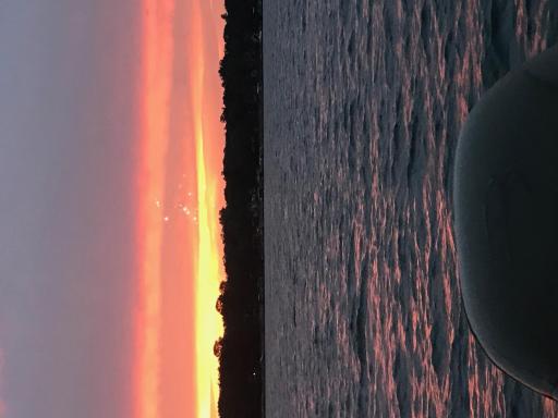 image12.jpeg