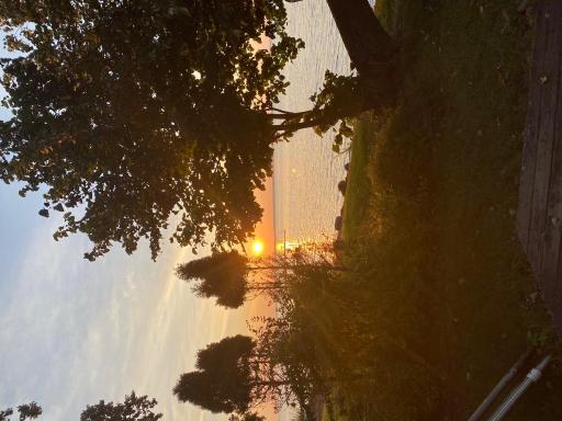 image6.jpeg