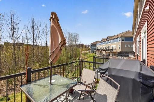 1757 Emerson Court, Chaska, MN 55318