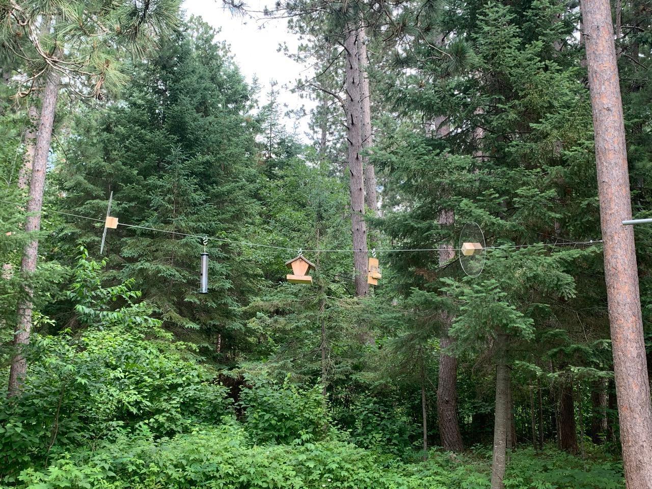 Bird feeders in back.jpg