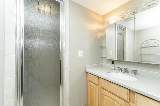 Lower level bathroom with large shower with dual shower heads