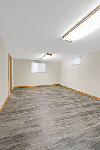 Lower level flex spac.jpg