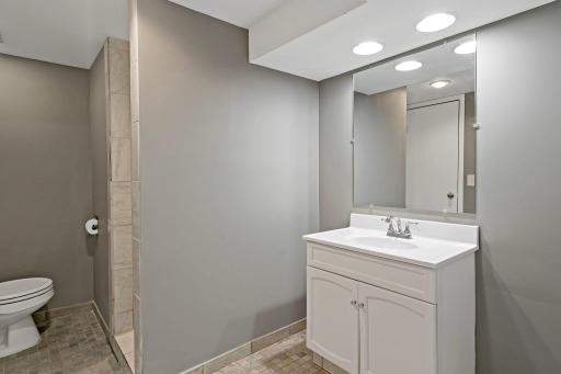 Lower level bathroom .jpg